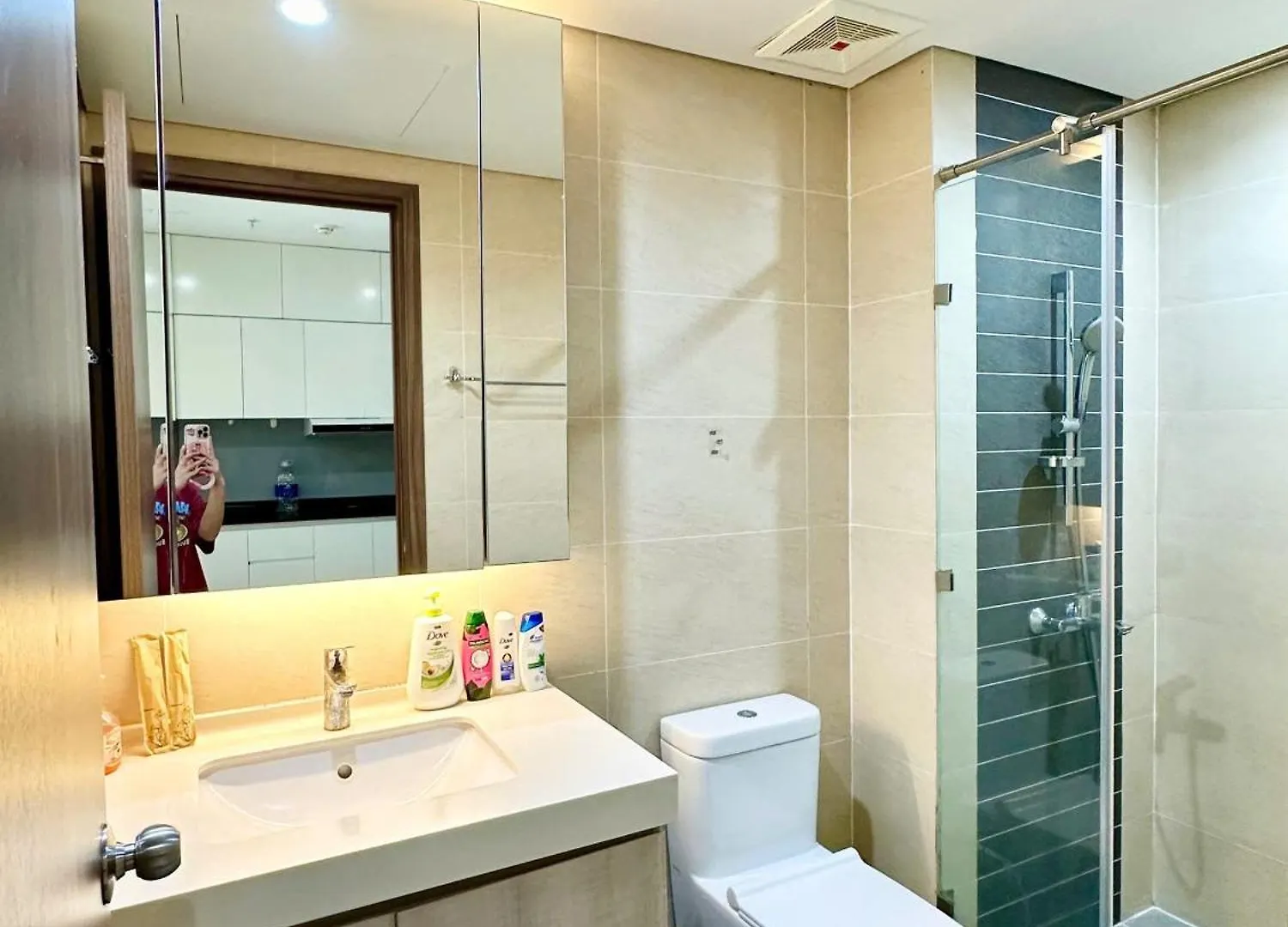 D10 - Hado Centrosa Apr -2Br Apartment Ho Chi Minh City